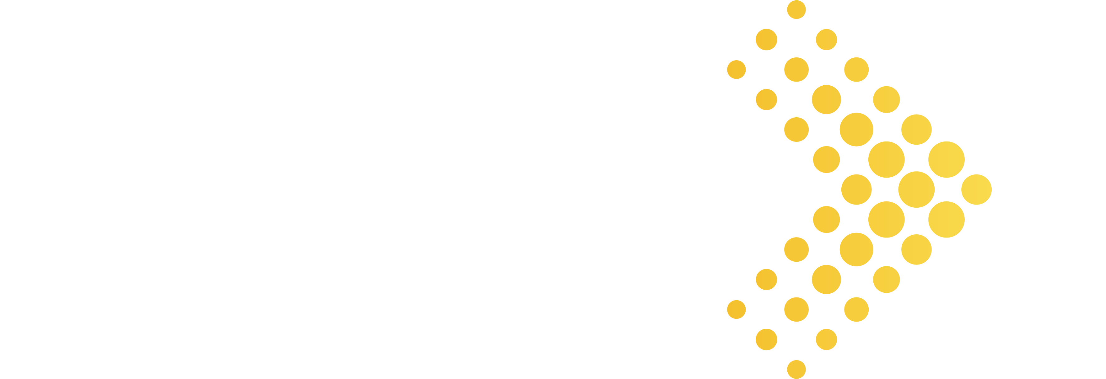 workpi logo